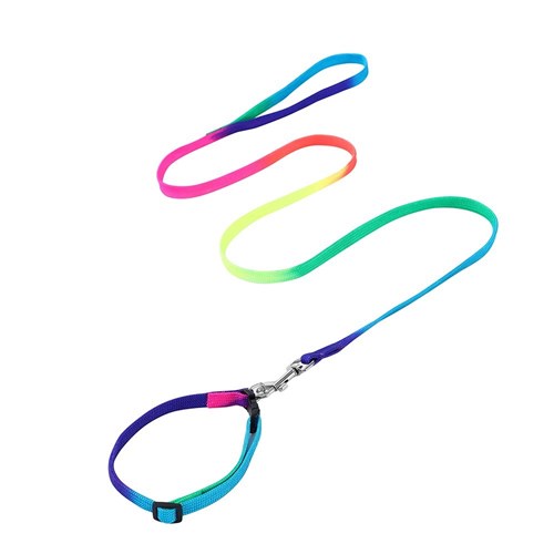 CAT COLLAR + LEAD SET 1.2M / 25-40CM COLLAR