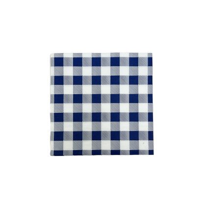 Blue Gingham Lunch Napkin