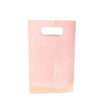 PARTY BAGS - PINK 6PK