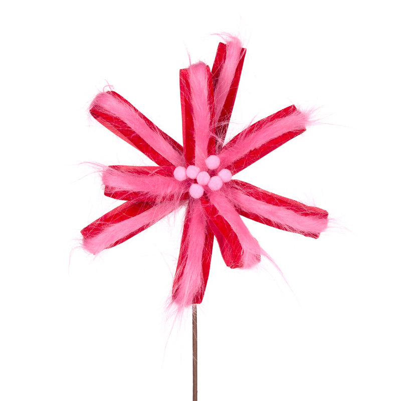 Pink And Red Loop Poinsettia