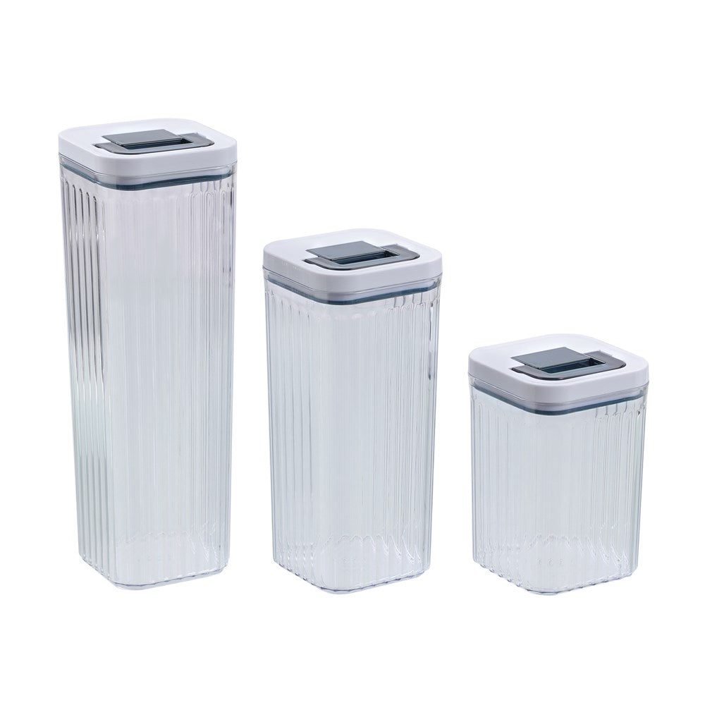 CRYSTAL RIBBED FRESH LOCK CONTAINER 2L 10X10X30CM 2 ASSTD