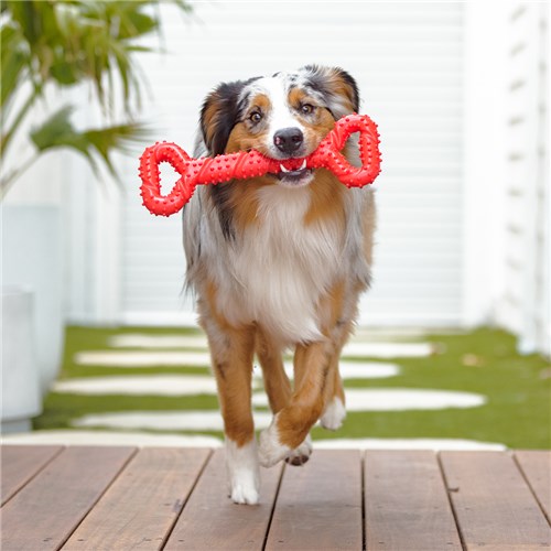 Pet Supplies