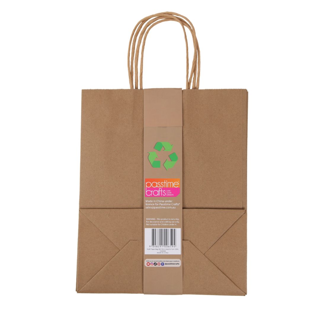 Kraft Brown Paper Bag 22x26.5cm Pack of 2