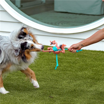 STRETCH & FETCH TPR + BRAIDED ROPE BALL 30X8X1.5CM