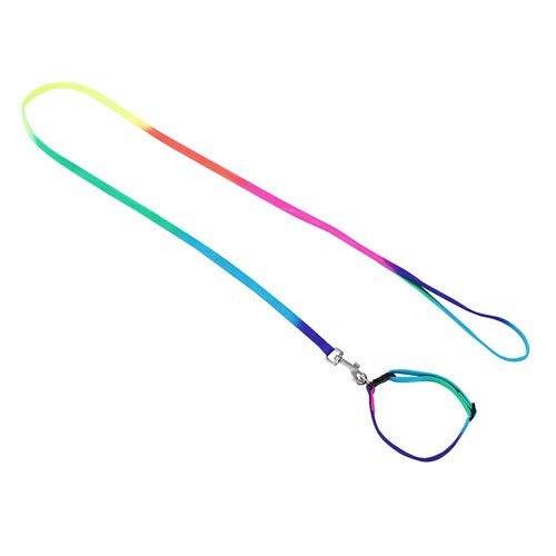 CAT COLLAR + LEAD SET 1.2M / 25-40CM COLLAR