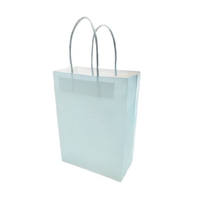 Paper Bag - Baby Blue 4PK