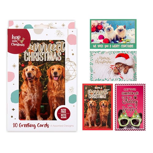 Cards Xmas Box 10 115x177mm Textured Foil Cats Dogs