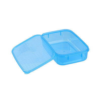 SIMPLE FRESH FOOD CONTAINER 1L 19.5X13.5X5.5CM 2 ASSTD
