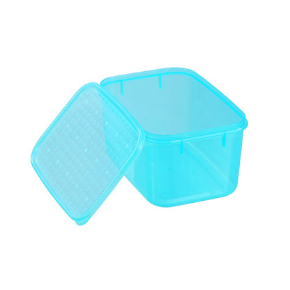 SIMPLE FRESH FOOD CONTAINER 2L 19.5X13.5X10.5CM 2 ASSTD