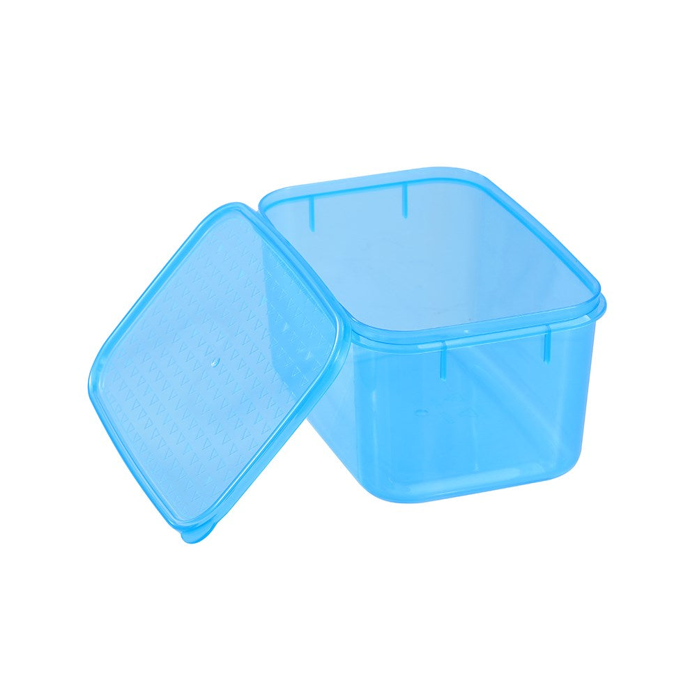 SIMPLE FRESH FOOD CONTAINER 2L 19.5X13.5X10.5CM 2 ASSTD