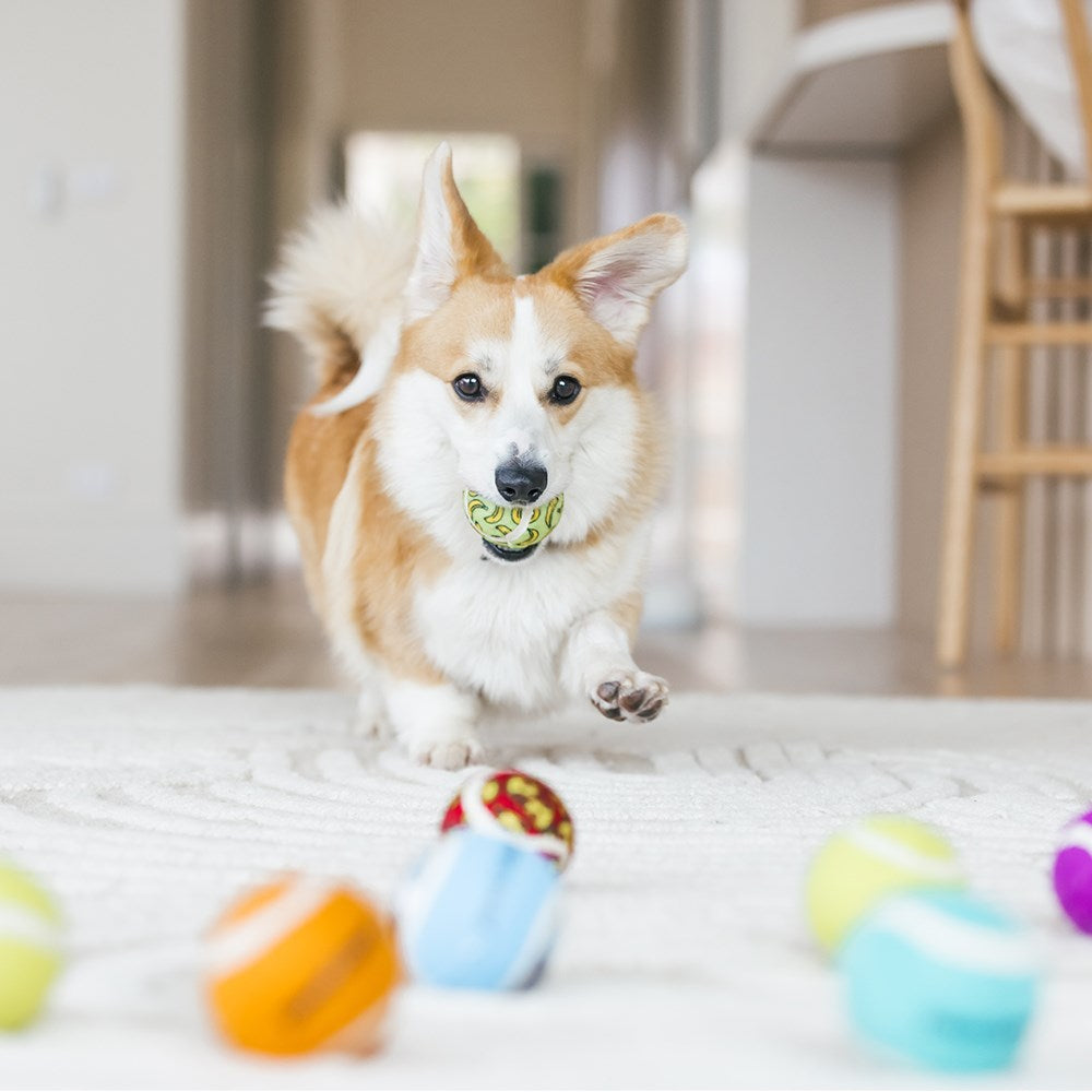 TENNIS BALLS 8PK 6CM ASST COLOURS 2-TONE