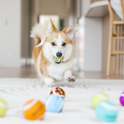 TENNIS BALLS 5PK 6CM ASSTD COLOURS SOLID