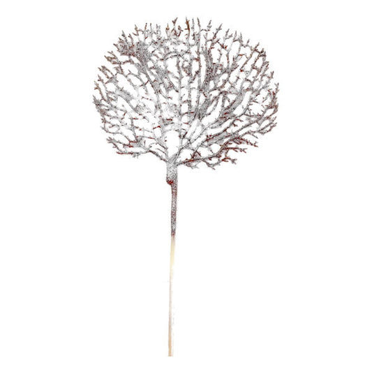 Champagne Coral Pick