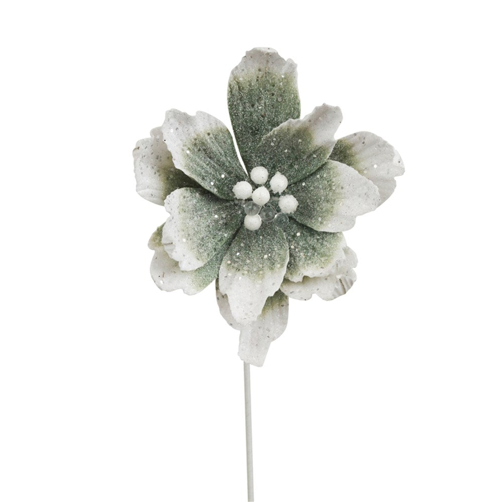 24CM OMBRE SAGE POINSETTIA 50CM STEM