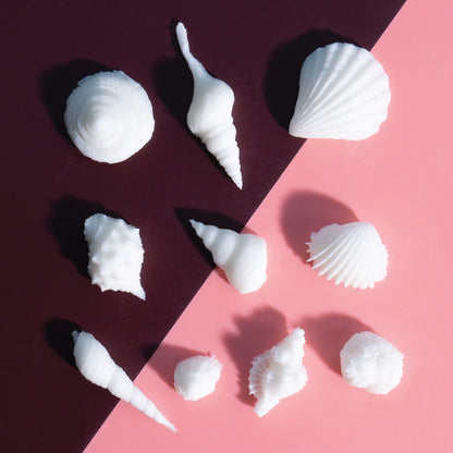 Silicone Mould - SEA SHELLS